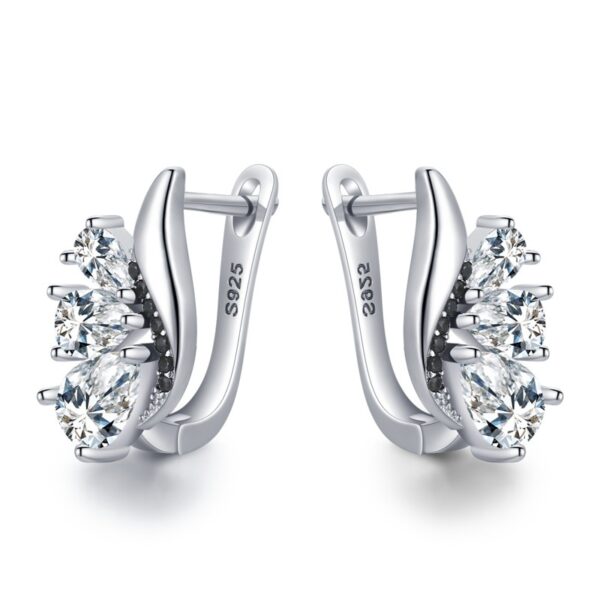 Classic Wings Shape Women's Drop-shaped Zircon - Image 4