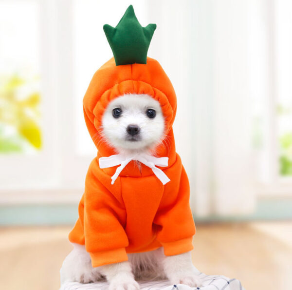 Cute Fruit Dog Clothes For Small Dogs Hoodies Winter Warm Fleece Pet Clothing Puppy Cat Costume Coat For French Chihuahua Outfit - Image 9