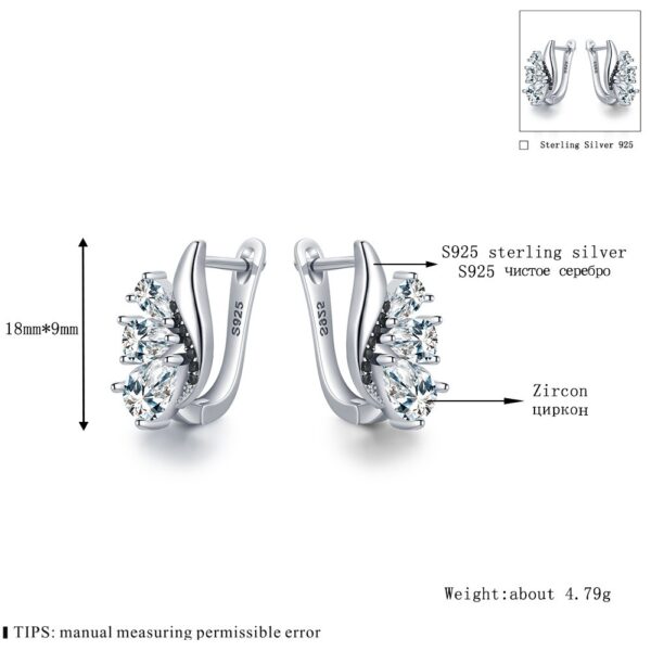 Classic Wings Shape Women's Drop-shaped Zircon - Image 5